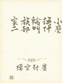家族轮换小说第二部叫什么名字封面