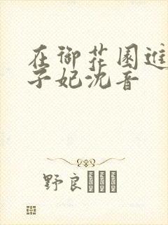 在御花园进入太子妃沈音