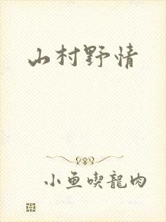 山村野情封面