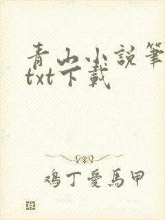 青山小说笔趣阁txt下载