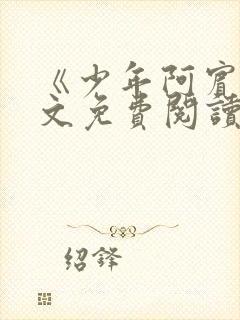 《少年阿宾》全文免费阅读