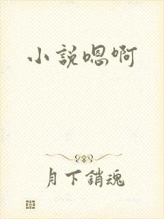 小说嗯啊