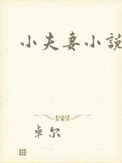 小夫妻小说