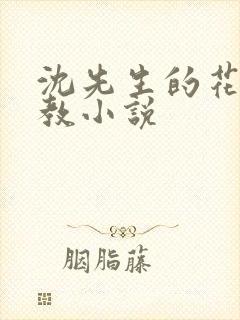 沈先生的花式管教小说