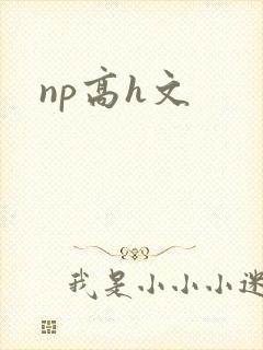 np高h文封面