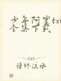 少年阿宾txt全集下载