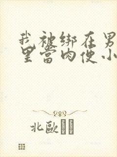 我被绑在男公厕里当肉便小说