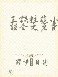 王铁柱苏小汐小说全文免费阅读最新章节