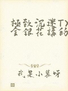 极致沉迷TXL金银花讲的什么封面