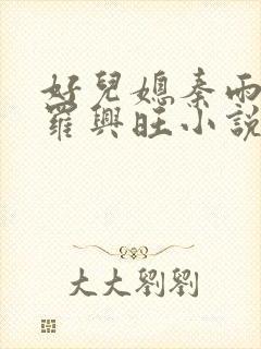 好儿媳秦雨罗明罗兴旺小说