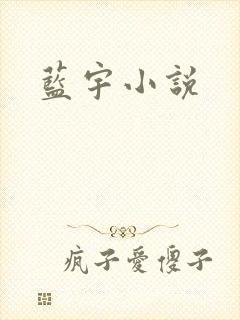 蓝宇小说