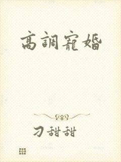 高调宠婚