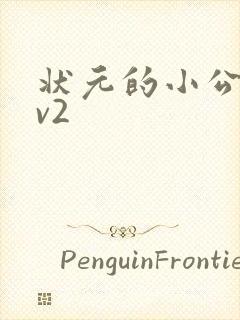 状元的小公主1v2封面