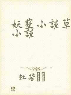 妖孽小说草莓酱小说