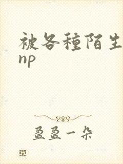 被各种陌生人 np封面