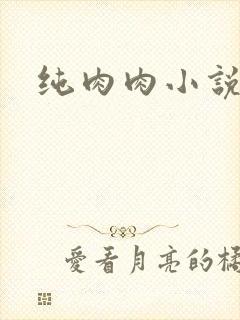纯肉肉小说