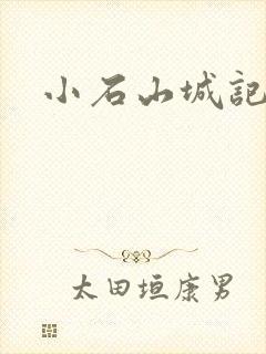 小石山城记