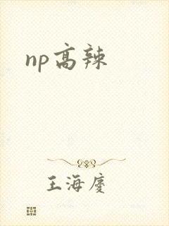 np高辣
