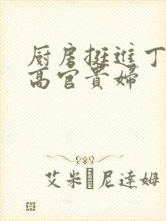 厨房挺进丁字裤高官贵妇