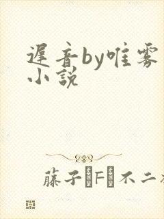 迟音by唯雾的小说