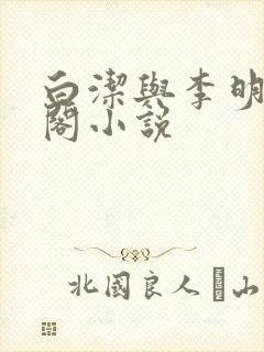 白洁与李明笔趣阁小说封面