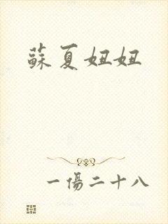 苏夏妞妞封面