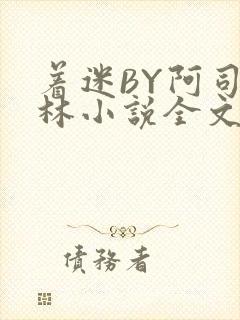 着迷BY阿司匹林小说全文免费阅读