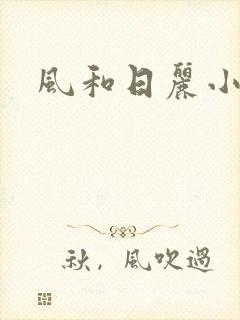 风和日丽小说封面