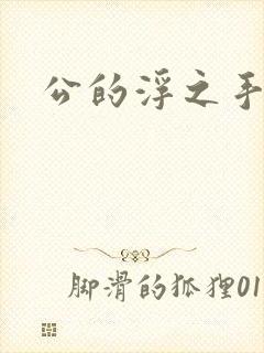 公的浮之手中字