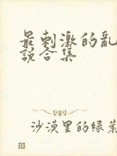 最刺激的乱岳小说合集封面