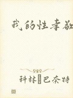 我的性孝敬封面