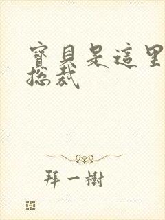 宝贝是这里对吗总裁