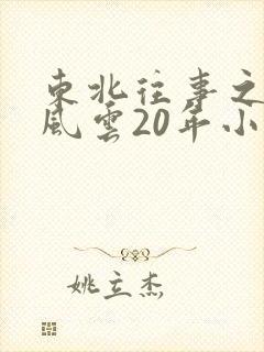 东北往事之黑道风云20年小说