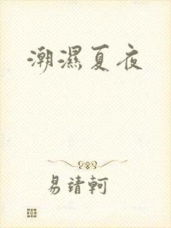 潮湿夏夜封面