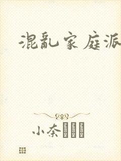 混乱家庭派对封面