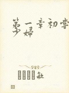 第一章初尝极品少妇