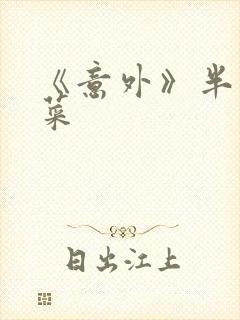 《意外》半截白菜封面