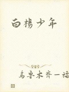 白杨少年