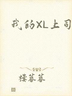 我的XL上司封面