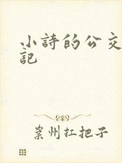 小诗的公交车日记