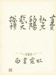 总裁的私有宝贝穆天阳免费