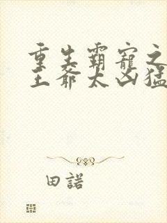 重生霸宠之摄政王爷太凶猛