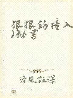 狠狠的撞入(h)秘书