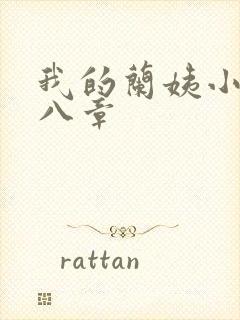 我的兰姨小说第八章