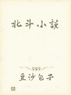 北斗小说