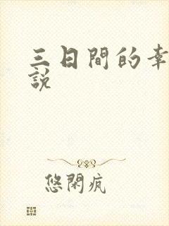 三日间的幸福小说封面