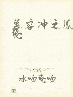 慕容冲之凤凰于飞