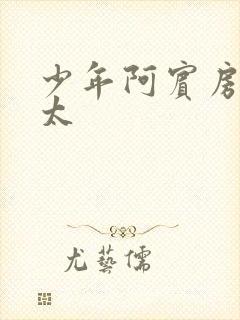 少年阿宾房东太太