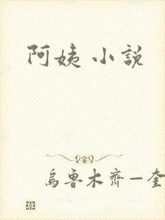 阿姨 小说