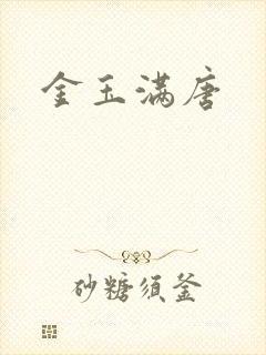 金玉满唐封面